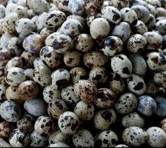 Telur Puyuh Rebus